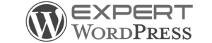 Experts-wordpress-Assistance-wordpress