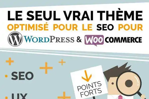 wordpress-infographie-miniature